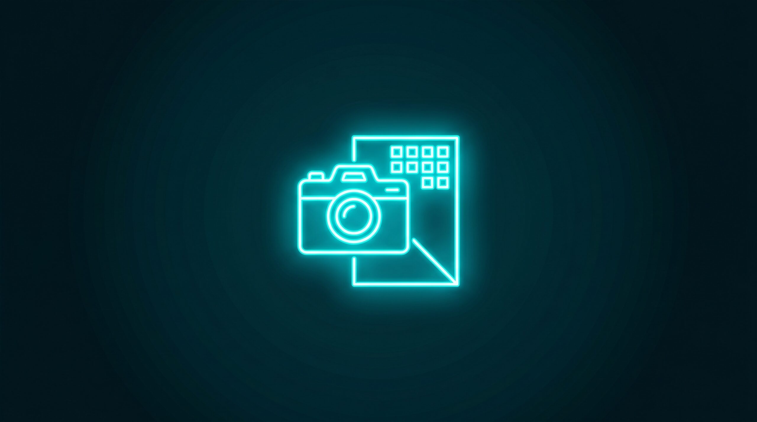Ilustrație: cameră foto cu cadru imagine și grilă galerie