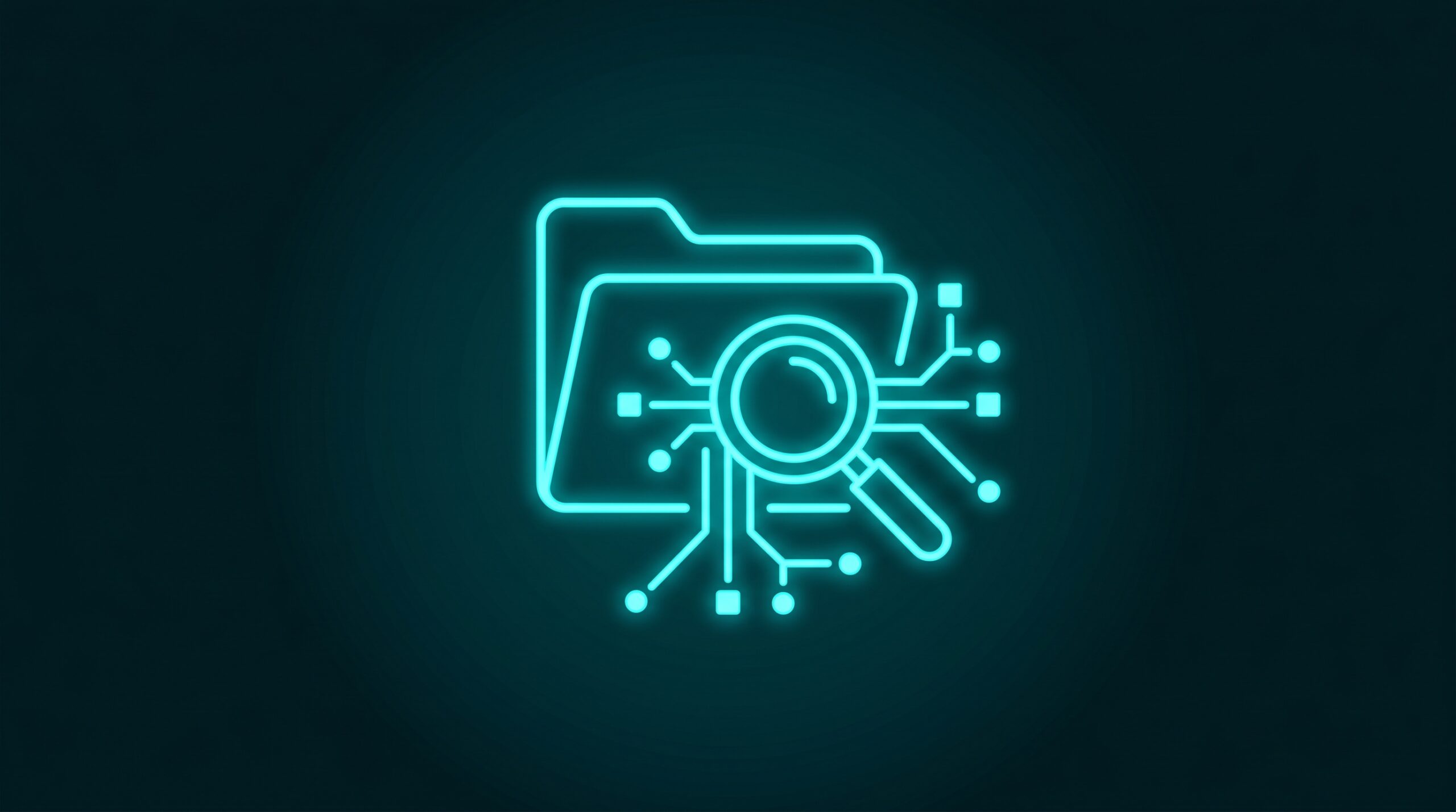 Folder cu lupă și căi ramificate reprezentând optimizare SEO categorii și produse