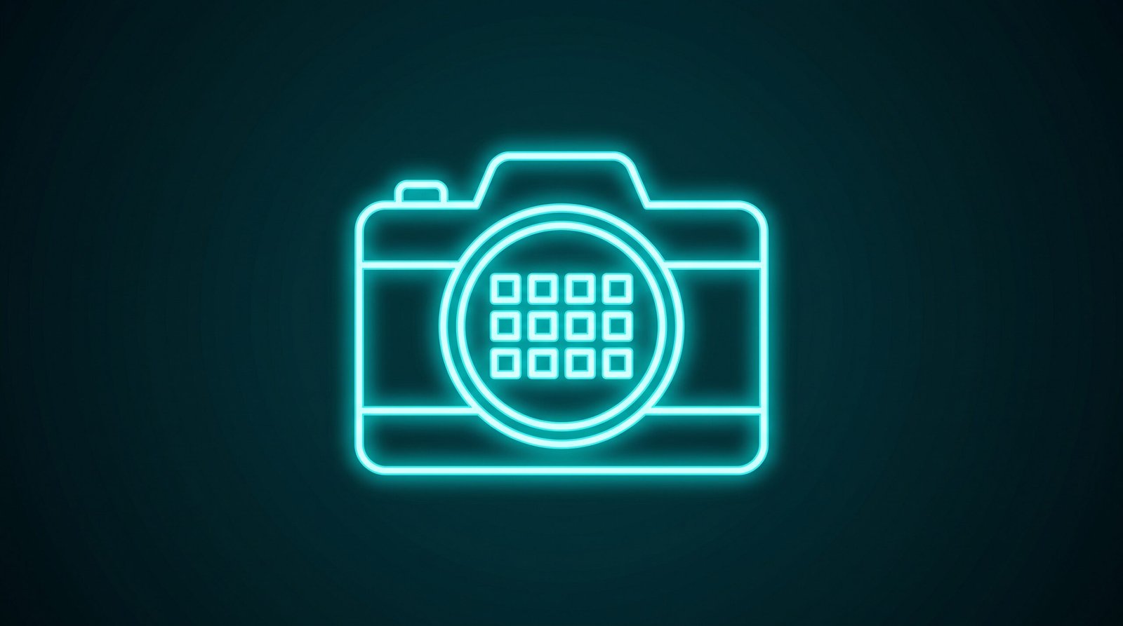 Galerie foto profesională pentru profil Google Business cu imagini de calitate superioară